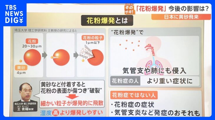 黄砂襲来･･･東京に飛来の予報も “花粉爆発”現象に要注意！【解説】｜TBS NEWS DIG