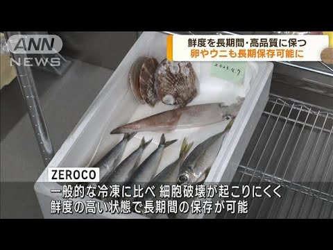 長期間・高品質 鮮度を保つ新技術 卵やウニも可能に(2023年4月13日)