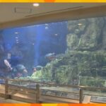 京都・宮津市の水族館「丹後魚っ知館」５月末で閉館へ　のべ６００万人以上が訪れる　惜しむ声も