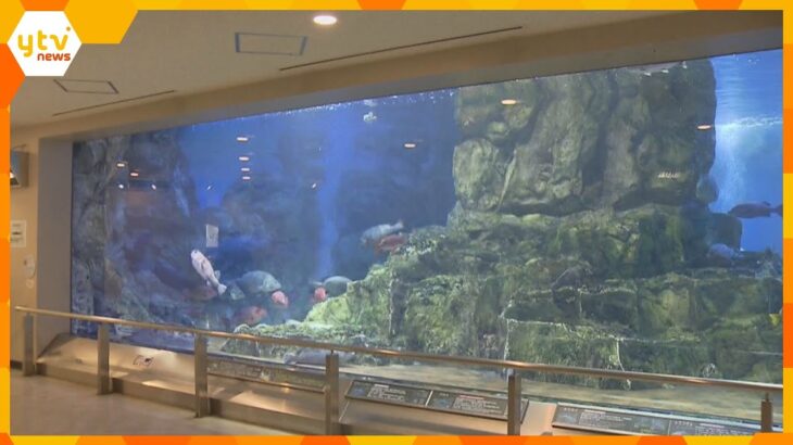 京都・宮津市の水族館「丹後魚っ知館」５月末で閉館へ　のべ６００万人以上が訪れる　惜しむ声も