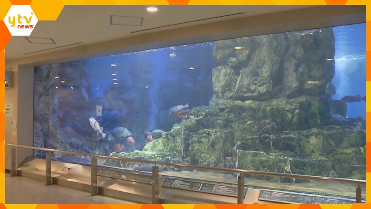 京都・宮津市の水族館「丹後魚っ知館」5月末で閉館へ のべ600万人以上が訪れる 惜しむ声も