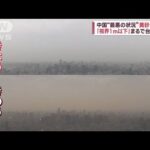 【史上最速の桜前線】函館で開花　黄砂が猛威「視界1m以下」中国“最悪の状況”(2023年4月14日)