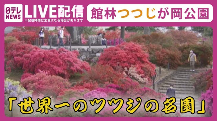 【ライブカメラ】“世界一”のツツジ満開ライブ――“世界一のつつじの名園”群馬県館林市のつつじが岡公園で色鮮やかに咲き誇るツツジをいまだけお届け（日テレNEWS LIVE）