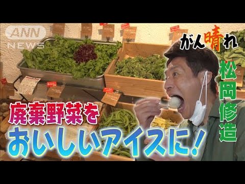 【松岡修造のみんながん晴れ】みんなうれしい！廃棄野菜が売れるワケ(2023年4月15日)