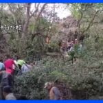 インド西部で高速道路走行中のバスが崖下に転落　13人死亡確認、20人以上けが　車両制御の不具合か｜TBS NEWS DIG
