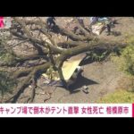 【速報】相模原のキャンプ場で倒木がテント直撃し29歳女性死亡　神奈川県警(2023年4月16日)
