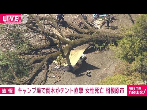 【速報】相模原のキャンプ場で倒木がテント直撃し29歳女性死亡　神奈川県警(2023年4月16日)