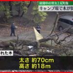 【事故】キャンプ場で倒木がテント直撃…寝ていた女性が下敷きになり死亡　根腐れが原因か　神奈川・相模原市