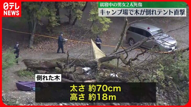 【事故】キャンプ場で倒木がテント直撃…寝ていた女性が下敷きになり死亡　根腐れが原因か　神奈川・相模原市