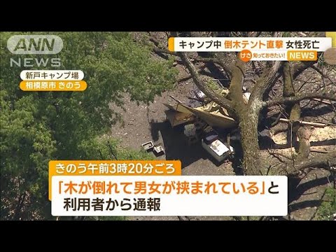 キャンプ場で倒木“テント直撃”　夫婦が下敷きに…29歳妻死亡　「根腐れ」も原因捜査(2023年4月17日)