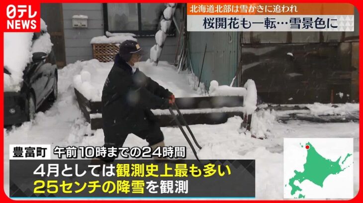 【北海道】冬に逆戻り 桜開花の札幌も一転…雪景色に