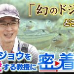 『幻のドジョウ』どう守る？「人工授精で繁殖」「水族館に展示」…”存在を知ってもらうことが重要”と語るドジョウ愛に満ちた研究者（2023年4月14日）