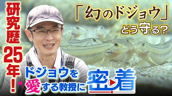 なぜそれを使うのでしょうか？