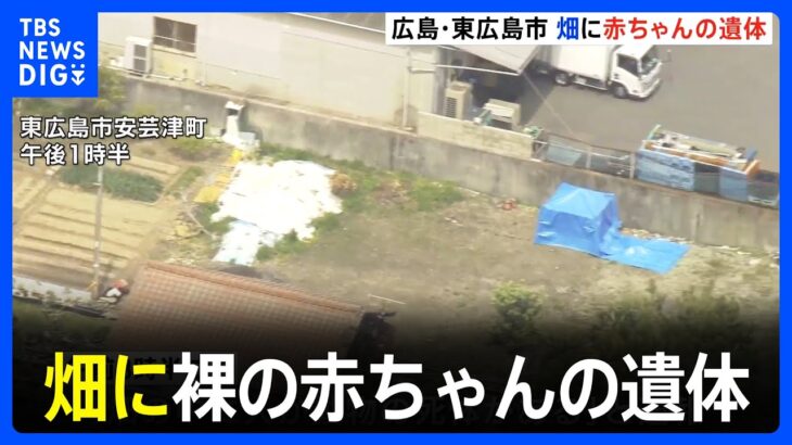 裸の赤ちゃんの遺体が畑で見つかる　死後、数週間以上は経過か　広島・東広島市｜TBS NEWS DIG