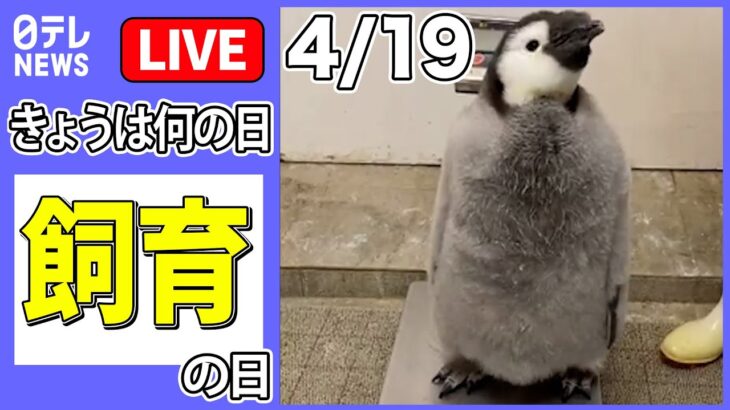 【きょうは何の日】「飼育の日」――“無銭飲食”するチンチラ / 「動かない鳥」が“水ガブ飲み”/ 赤ちゃんペンギンと飼育員が攻防　など　ニュースまとめライブ（日テレNEWS LIVE）