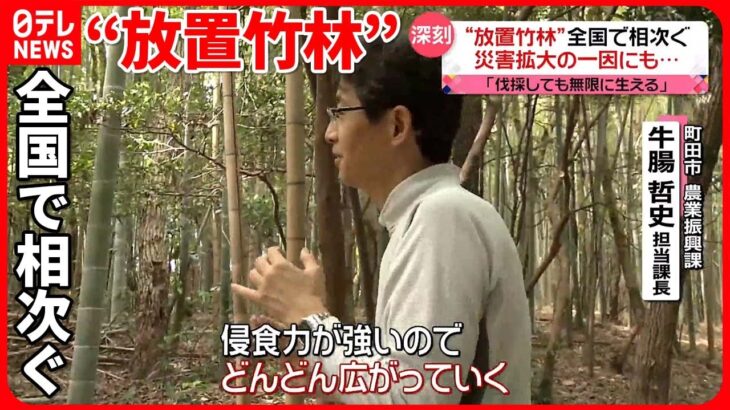 【深刻】暖かくてタケノコ豊作も…“放置竹林”全国で相次ぐ　災害拡大の一因にも