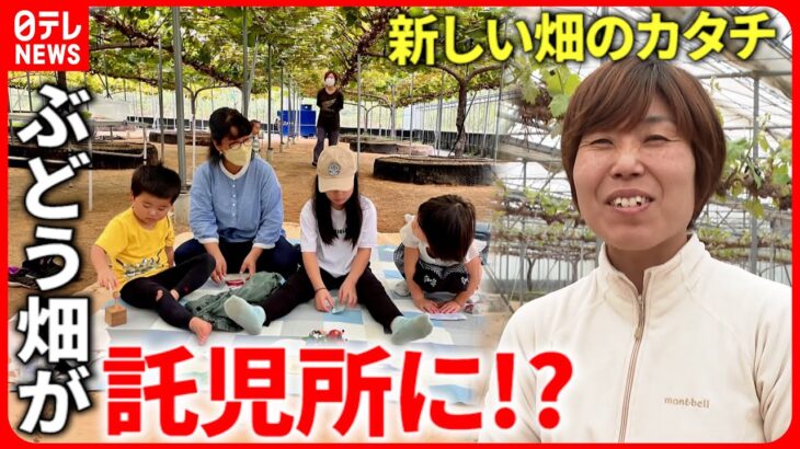 【大臣賞受賞】畑で子育て＆ヨガも!? “自然を活かす”女性農家の取り組み　愛媛　NNNセレクション