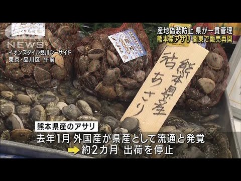 熊本産アサリ、関東で販売再開　偽装防止で県が管理(2023年4月21日)
