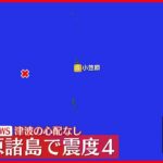 【速報】小笠原村で震度４　津波の心配なし