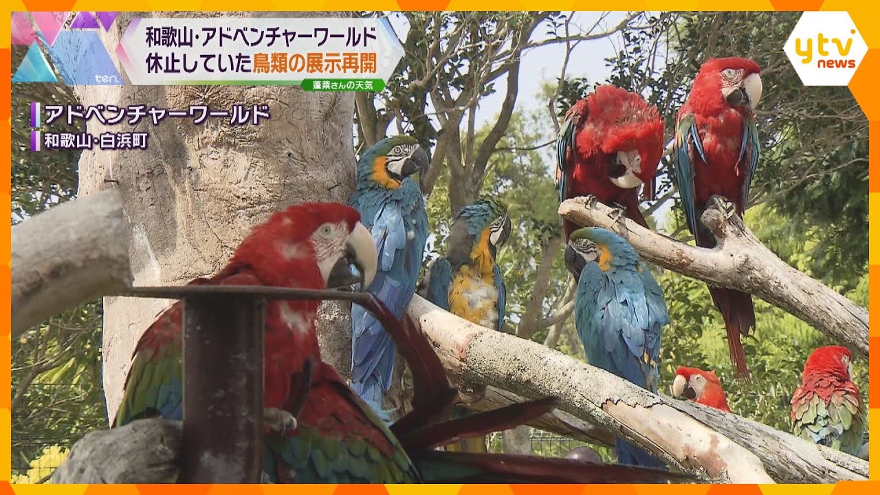 白浜アドベンチャーワールドで鳥類の展示再開　鳥インフル対策で去年１１月に休止　ふれあい体験も復活