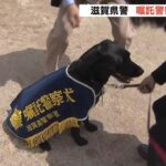シェパードなど２３頭「嘱託警察犬」に任命　民間人のもとから出動　滋賀県警（2023年4月22日）
