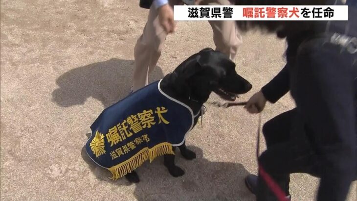 シェパードなど２３頭「嘱託警察犬」に任命　民間人のもとから出動　滋賀県警（2023年4月22日）