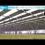 国内最大級の「ソーラーシェアリング」が開所　耕作放棄地を復活も(2023年4月22日)