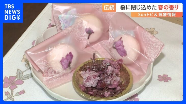 “食べられる桜”の収穫　神奈川・秦野の食用桜【SUNトピ】｜TBS NEWS DIG