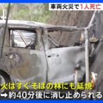 乗用車火災で林にも延焼　運転席から「性別不明の遺体」　栃木・塩谷町｜TBS NEWS DIG