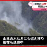 【火事】群馬の山林で重機燃える…周囲の木に延焼も  県は自衛隊に災害派遣要請