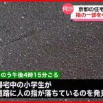 【情報提供を呼びかけ】京都の住宅街の道路に“人の指”  帰宅中の小学生が発見