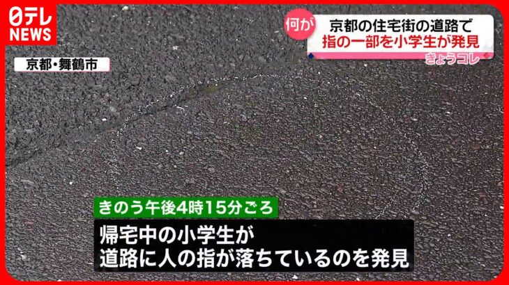 【情報提供を呼びかけ】京都の住宅街の道路に“人の指”  帰宅中の小学生が発見