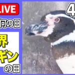 【きょうは何の日】『世界ペンギンの日』――ペンギン「それ以上近づくな」/ ジタバタ！赤ちゃんペンギンと飼育員が攻防　など 　ニュースまとめライブ（日テレNEWS LIVE）