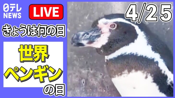 【きょうは何の日】『世界ペンギンの日』――ペンギン「それ以上近づくな」/ ジタバタ！赤ちゃんペンギンと飼育員が攻防　など 　ニュースまとめライブ（日テレNEWS LIVE）