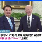 米韓首脳会談「ワシントン宣言」を発表　核を含む戦力で守る「拡大抑止」の強化を盛り込む｜TBS NEWS DIG