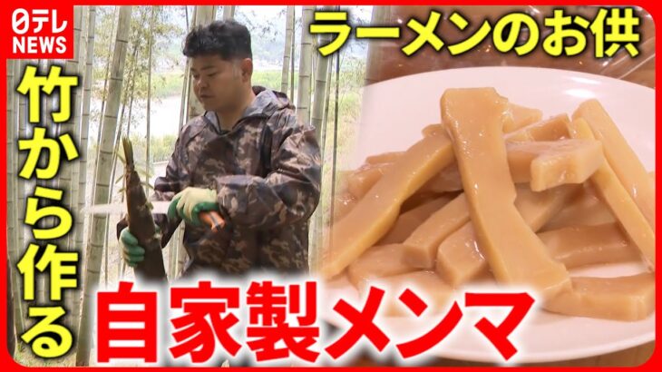 【メンマ作り】塩水に１か月以上!? 美味しく食べて”竹林整備”　徳島　NNNセレクション
