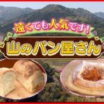 【パン】石窯焼きのパリもち食パン＆湘南しらすパン！山の中の人気店『every.特集』