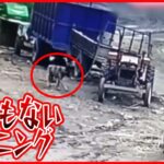 【まさか】無人トラクター動き出す  つながれた犬の運命は？  中国