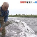 漁解禁を前に「稚アユ」の放流　７月までに約２０万匹を放流予定　和歌山・紀の川（2023年4月30日）