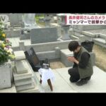 長井健司さんのカメラが墓前に　ミャンマーで銃撃から15年(2023年4月30日)
