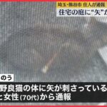 【“矢”が刺さった猫】保護しようとするとそのまま逃げ…　埼玉・熊谷市