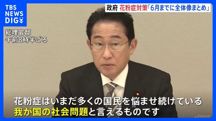岸田総理、花粉症対策の全体像「6月までに」指示　初の関係閣僚会議で｜TBS NEWS DIG