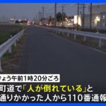 栃木県野木町で死亡ひき逃げ　62歳の男性が死亡　現場には車のドアミラーの一部など残る　警察が車の行方探す｜TBS NEWS DIG