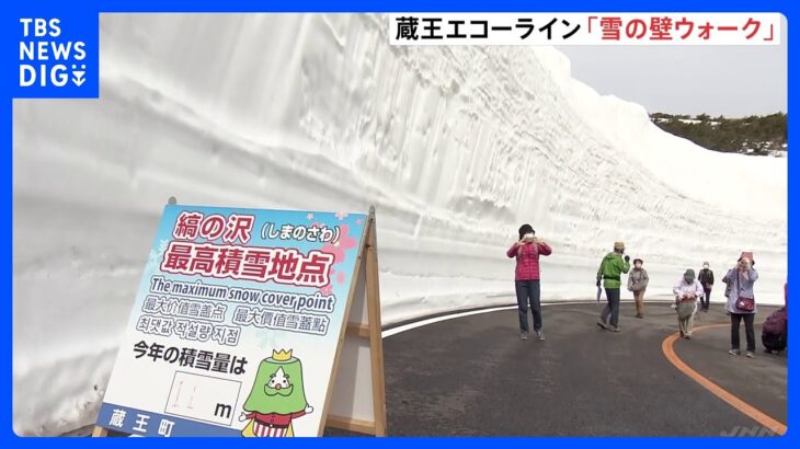 最も高い所で7.6m 「雪の壁ウォーク」が4月10日まで開催　宮城・蔵王エコーライン｜TBS NEWS DIG