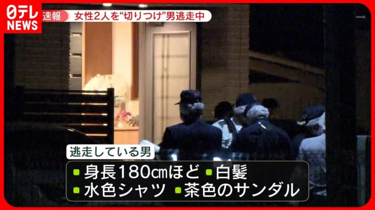 【男逃走】70代の姉2人を“オノ”で切りつけか…東京・日野市