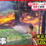 【韓国で大規模な山火事】“東京ドーム約80個分”の面積が燃える 500人以上の住民が避難…ケガ人も