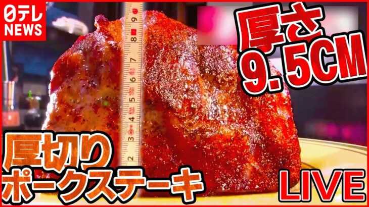 【ポークステーキまとめ】規格外！ 厚さ約 9.5cm の肉厚ポークステーキ / やわらかジューシーな豚肉に“やみつき”デミグラスソース / 豪快！ご当地味トンテキ　など（日テレNEWS LIVE）