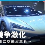 【電気自動車】激化するEV競争 自動車業界の未来は？上海モーターショーを取材｜ANN上海支局･高橋大作支局長