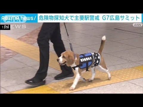 G7広島サミットに向け　危険物探知犬で主要駅を警戒(2023年4月13日)