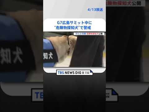 G7広島サミット中に“危険物探知犬”で警戒　新幹線の主要駅で | TBS NEWS DIG #shorts